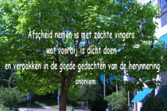boom-bij-de-Eshoeve-met-citaat