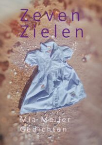 Zeven Zielen image